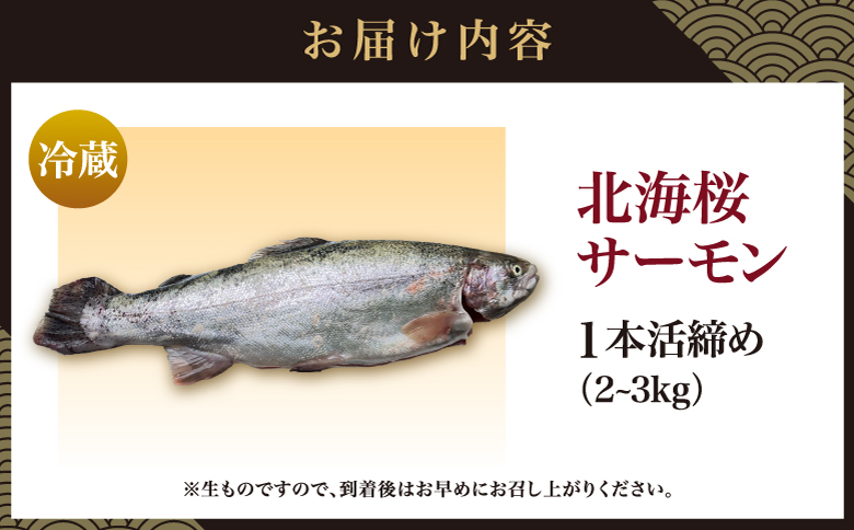 北海桜サーモン 1本活締め 2~3kg 新鮮 刺身 冷蔵 陸上養殖 生食可 桜色 トラウト サーモン 鮭 生鮭 サケ さけ 一本 1匹 一匹 姿 まるごと 国産 北海道産 道産 松前産 産地直送 お取