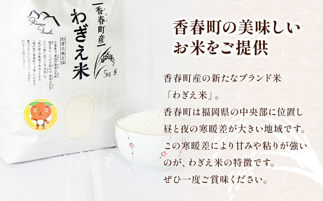 【先行予約】【令和7年度新米】わぎえ米 計10kg（5kg×2袋）