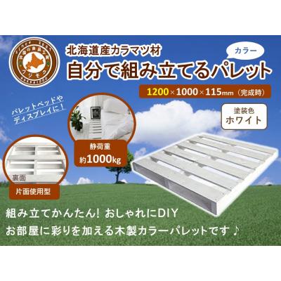 ふるさと納税 標茶町 「自分で組み立てるカラーパレット」1200×1000×115mm片面使用型