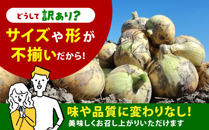 【今が旬!】 訳あり 新玉ねぎ 10kg（小玉）【えぐちファーム】 不揃い たまねぎ [HDE002]