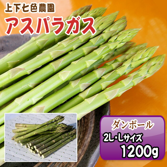 【ふるさと納税】上下七色農園 アスパラガス　2L・Lサイズ　ダンボール（1.2kg）［No.1095］／ 物 アスパラ プレゼント お中元 送りもの 野菜 送料無料 広島県