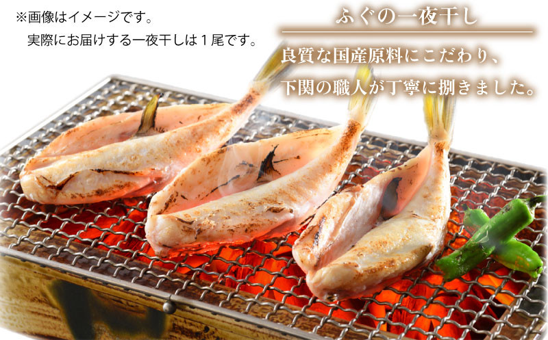 ふぐ 料理 セット 刺し 冷凍 一夜干し 霜降 造り とらふぐ 皮 ふぐ刺し まふぐ フグ 酒の肴 てっさ ふぐ料理 セット お中元 暑中見舞い ギフト 山口県 父の日 魚介 海鮮 フグ刺し 河豚 贈