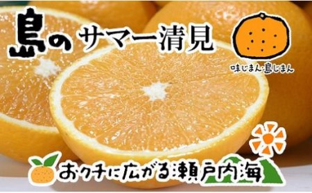 【2026年4月上旬から発送予定】希望の島 サマー清見 4kg 愛媛 中島産 愛媛県産 みかん 柑橘【FT017_x】