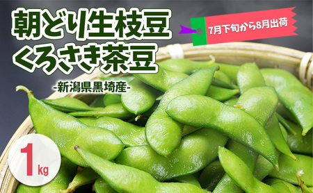 夏発送 くろさき茶豆1kg 新潟県黒埼産 朝どり生枝豆 