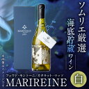 【ふるさと納税】海底貯蔵ワイン 白 MARIREINE 2021 フェウドモントーニ (750ml・ギフト箱入り) イタリア ワイン 白ワイン 酒 パーティー 海底酒 熟成 マリレーヌ 大分県 佐伯市【FP015】【フルタ酒店】