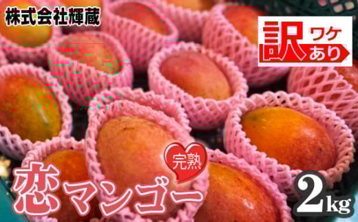 No.219 【訳あり】樹上完熟　恋マンゴー約2kg（家庭用化粧箱入） ／ 果物 フルーツ デザート 南国 コク 甘み 愛知県 特産品