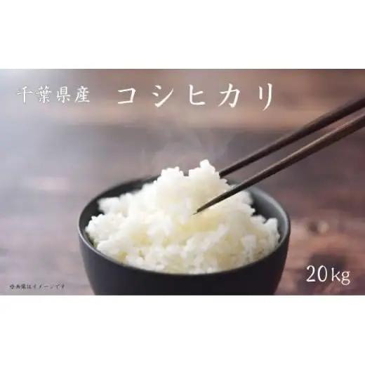 《 令和8年産 》米 コシヒカリ 20kg （5kg×4袋） ／ 米 こめ コメ お米 おこめ コシヒカリ こしひかり 令和8年 白米 精米 ごはん 20kg 送料無料