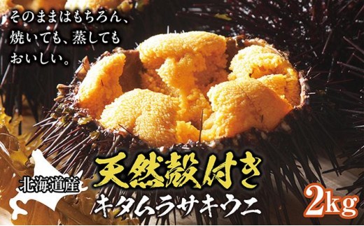 「2026年6月以降順次発送」天然殻付きキタムラサキウニ2kg   MATB012