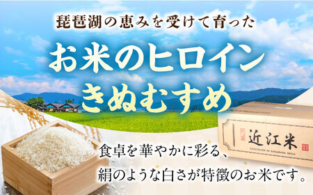 【令和7年産新米】きぬむすめ 10kg 白米 滋賀県長浜市/株式会社コメック[AQDH006]