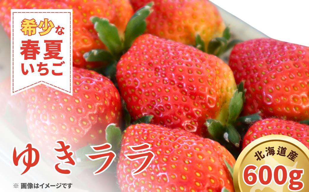 【先行予約 2026年5月以降順次発送】春夏イチゴ「ゆきララ」計600g《厚真町》【こばやしいちご農園】 [AXBT002]