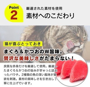 【隔月6回 定期便】金かつお 猫用パウチ（ササミ入り）160g×48袋 _ 定期便 隔月 全6回 金かつお 猫用 パウチ 160g × 48袋 × 6回 ササミ入り 全年齢 対応 やさしい ゼリータイ