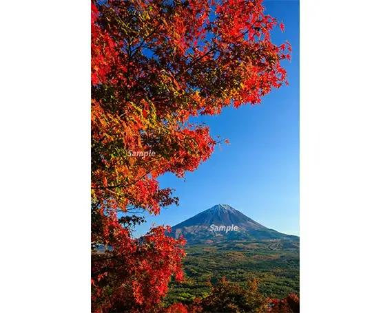 富士山フォトパネル（紅葉） NSF009