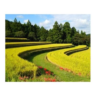 ふるさと納税 安田町 新米予約 5kg【令和7年産】高知県安田町産 |  | 02