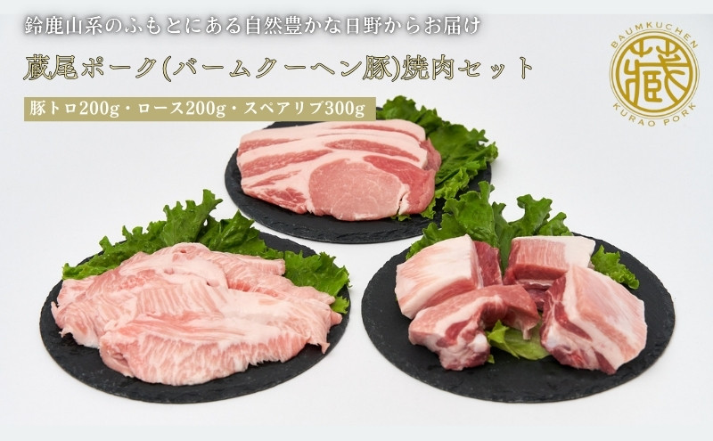 
            蔵尾ポーク(バームクーヘン豚)焼肉セット（ロース・スペアリブ・豚トロ）計700g
          