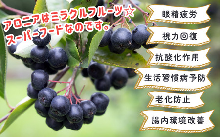 アロニア（ブラックベリー）1kg　008051