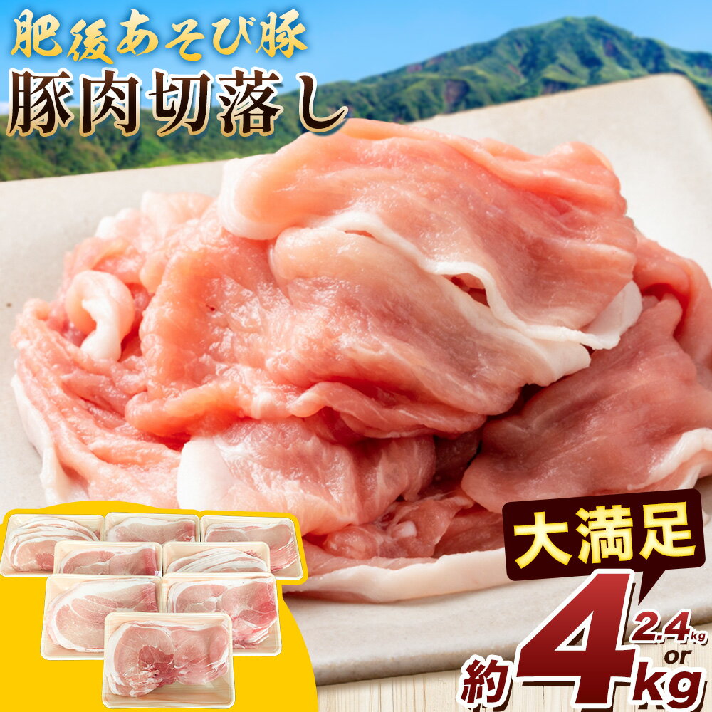 【ふるさと納税】肥後あそび豚切落し 選べる内容量 2.4kg 4kg 株式会社さつま屋産業 ぶた ブタ 豚肉 肉 ブランド豚 切り落とし 国産 九州産 熊本県産 菊池市産 冷凍 送料無料《90日以内に出荷予定(土日祝除く)》