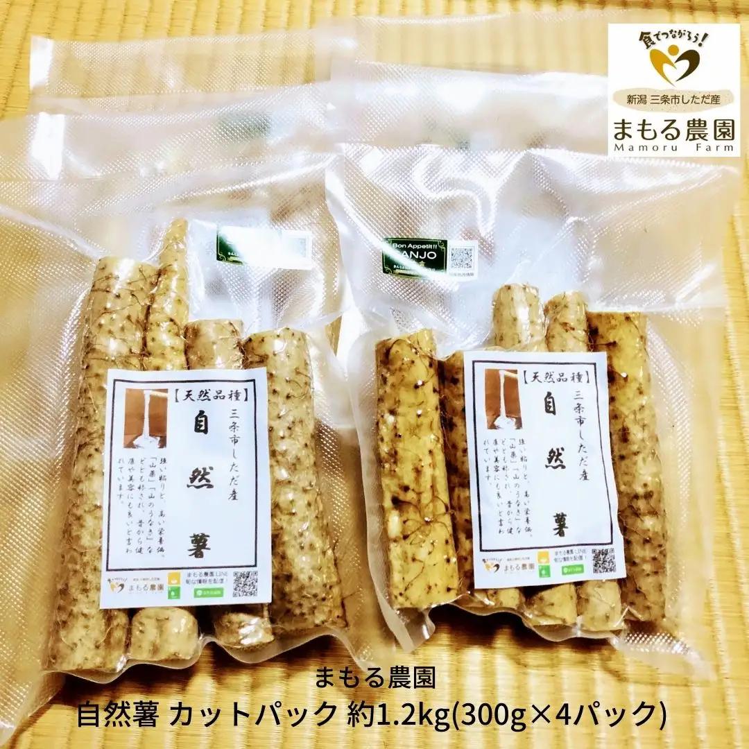 先行予約 自然薯 カットパック 約1.2kg(300g×4パック)   新潟県産自然薯  [まもる農園] 【012P048】