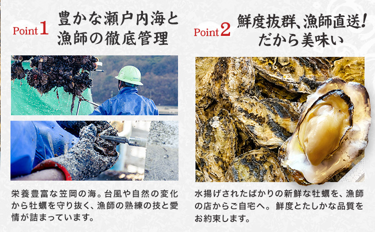 笠岡産 冷凍殻付き牡蠣 加熱用 2kg 30～40粒 《30日以内に出荷予定(土日祝除く)》岡山県 笠岡市 かき カキ 牡蠣 生牡蠣 瀬戸内海産 殻付き 冷凍