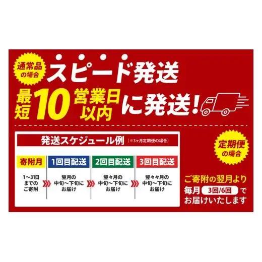 【3ヶ月定期便】カルビー ポテトチップスコンソメパンチ BIGBAG 160g×12個｜Calbee お菓子 菓子 おやつ おかし ぽてち ポテチ スナック おつまみ ジャガイモ じゃがいも（93-5