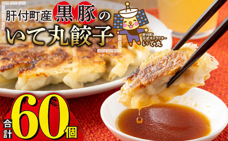 【P43002】鹿児島県 肝付町産 黒豚 餃子 ギョーザ(計60個・12個入 5パック) ≪ パリッ と もっちり で ジューシー ≫ ぎょうざ たれ付き パリパリ もちもち ジューシー おかず 弁当 冷凍 冷凍食品 中華 豚肉 国産【財宝】
