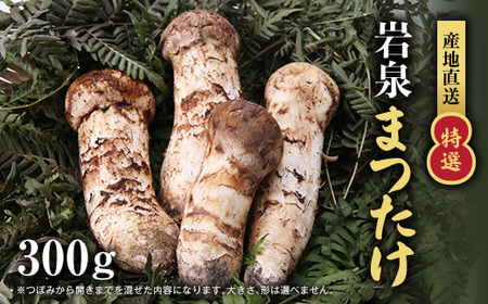 【特選】岩泉まつたけ 直送 300g_野菜 松茸 きのこ まつたけ マツタケ_【配送不可地域：離島】【1423393】