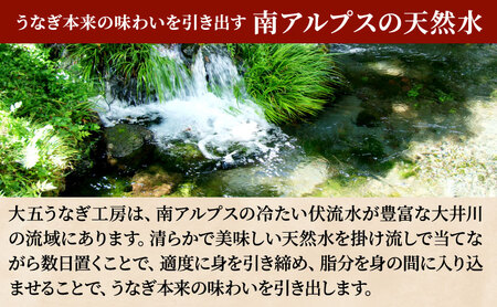 うなぎ 国産 蒲焼 160g×4尾 640g 大五 大五通商 うなぎ