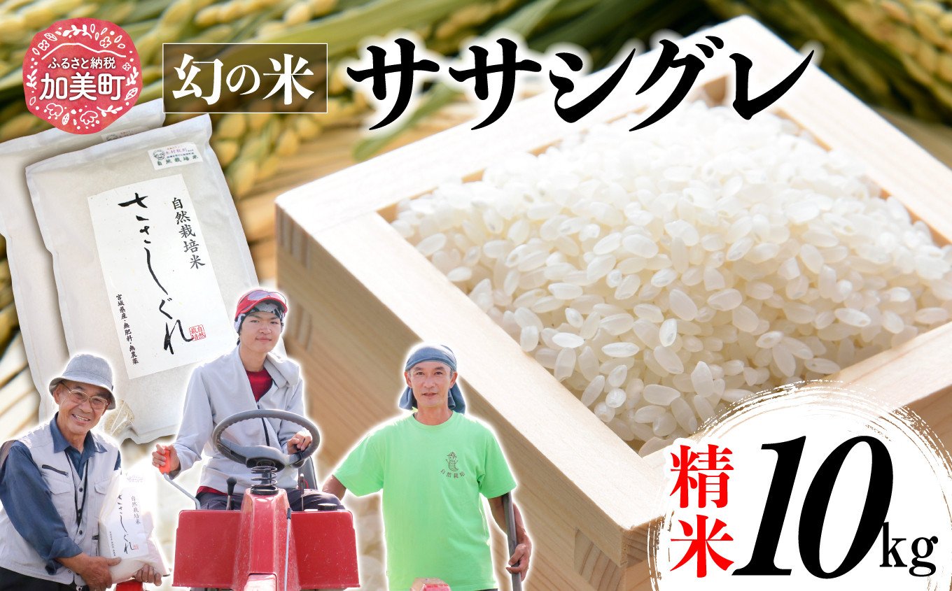 令和6年産 ササシグレ 精米 10kg nt00001-r6-10kg