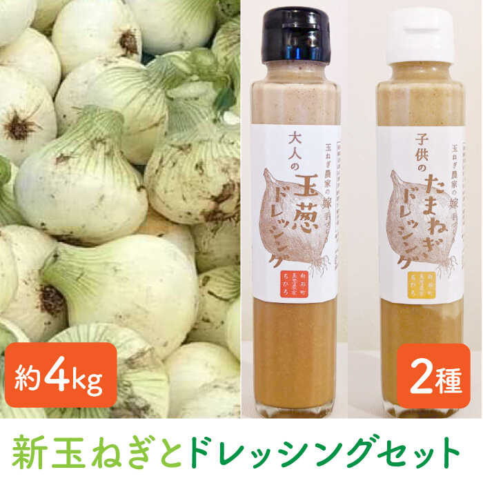 【農家直送！】 新玉ねぎ 約4kg と ドレッシング 2本セット 【玉葱農家 陣内ちひろ】玉葱 玉ねぎ タマネギ 新玉葱 九州 佐賀県 白石町 [IAO016]