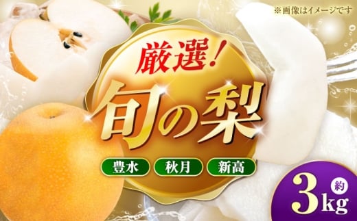 【先行予約】厳選おまかせ梨 約3kg 梨 豊水梨 秋月梨 新高梨 果物 フルーツ 【日本フルーツ株式会社】 [ZFJ066]