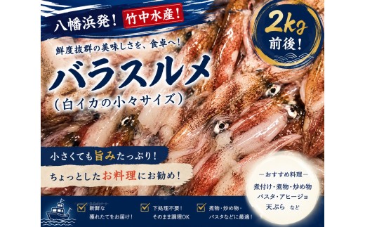 竹中水産のバラスルメ2kg(小小サイズ)＜D22-223＞_いか イカ スルメイカ するめいか バラスルメ 烏賊 魚介 魚介類 海鮮 鮮魚 冷凍 BBQ 簡単調理 愛媛 八幡浜 小サイズ ミニ 【1115290】 YWTM041