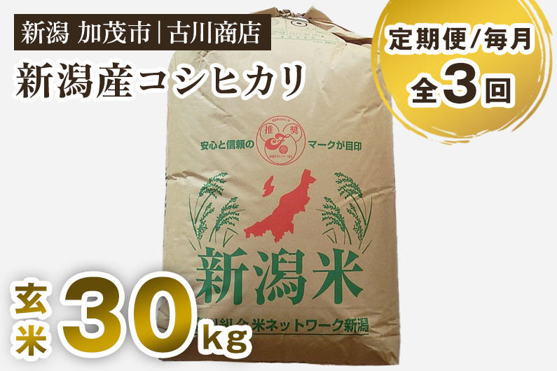 
                  【令和7年産】【定期便3回毎月お届け】新潟県加茂市産コシヒカリ 玄米 30kg 《順次発送》 お米 米 お米の専門店 古川商店 定期便
                