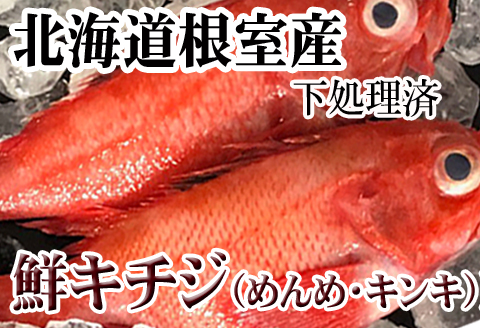 【北海道根室産】キチジ(キンキ・めんめ)×7～11尾(下処理済) E-70005