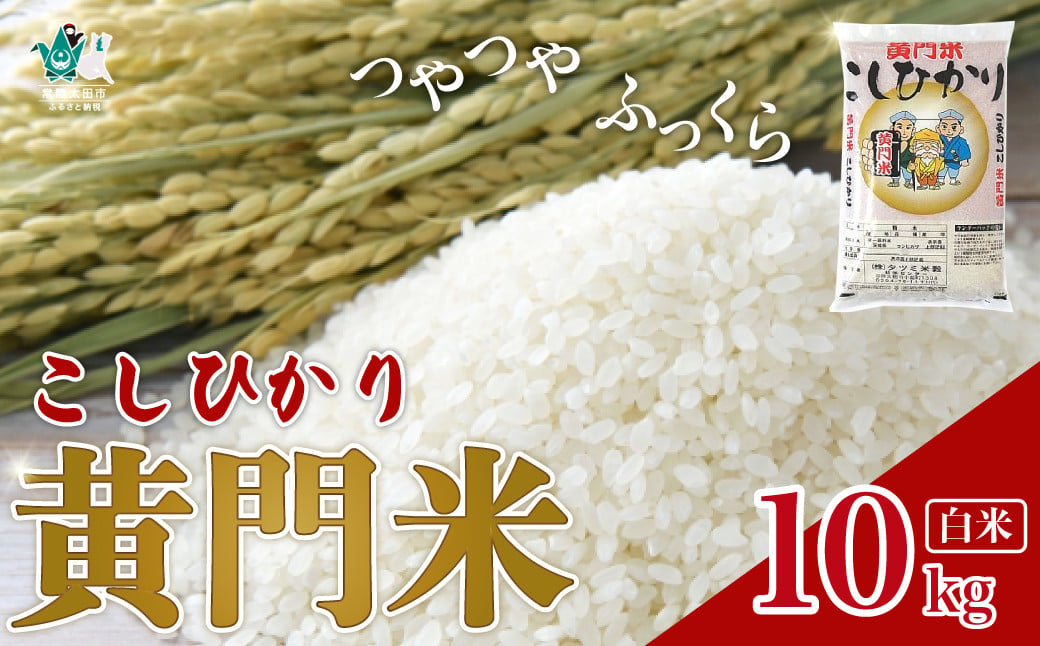 
            【令和6年産】黄門米 コシヒカリ 白米 10kg | 茨城県産 常陸太田市 タツミ米穀 コシヒカリ こしひかり 10kg 10キロ 米 こめ コメ お米 白米 精米 お取り寄せ 贈答 人気 ランキング ごはん 贈り物 10キロ 風味 甘い 米どころ ブランド米 人気米 
          