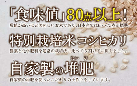 【先行予約】【令和7年産新米】南条米 特別栽培米コシヒカリ 真空パック 玄米 10kg(5kg×2袋)[D-011004]