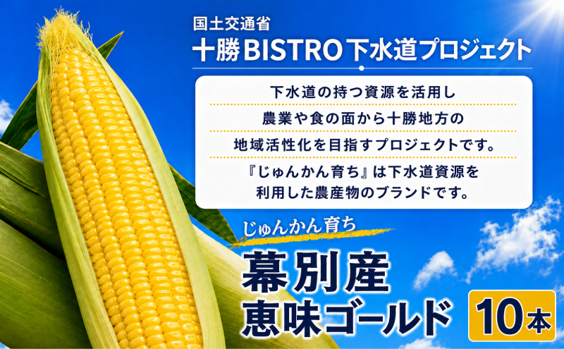 2027年発送先行予約 北海道 十勝 幕別産 とうもろこし 恵味ゴールド 10本「じゅんかん育ち」北王農林［十勝BISTRO下水道プロジェクト］【 とうもろこし とうきび コーン 野菜 フルーツ 甘い 】