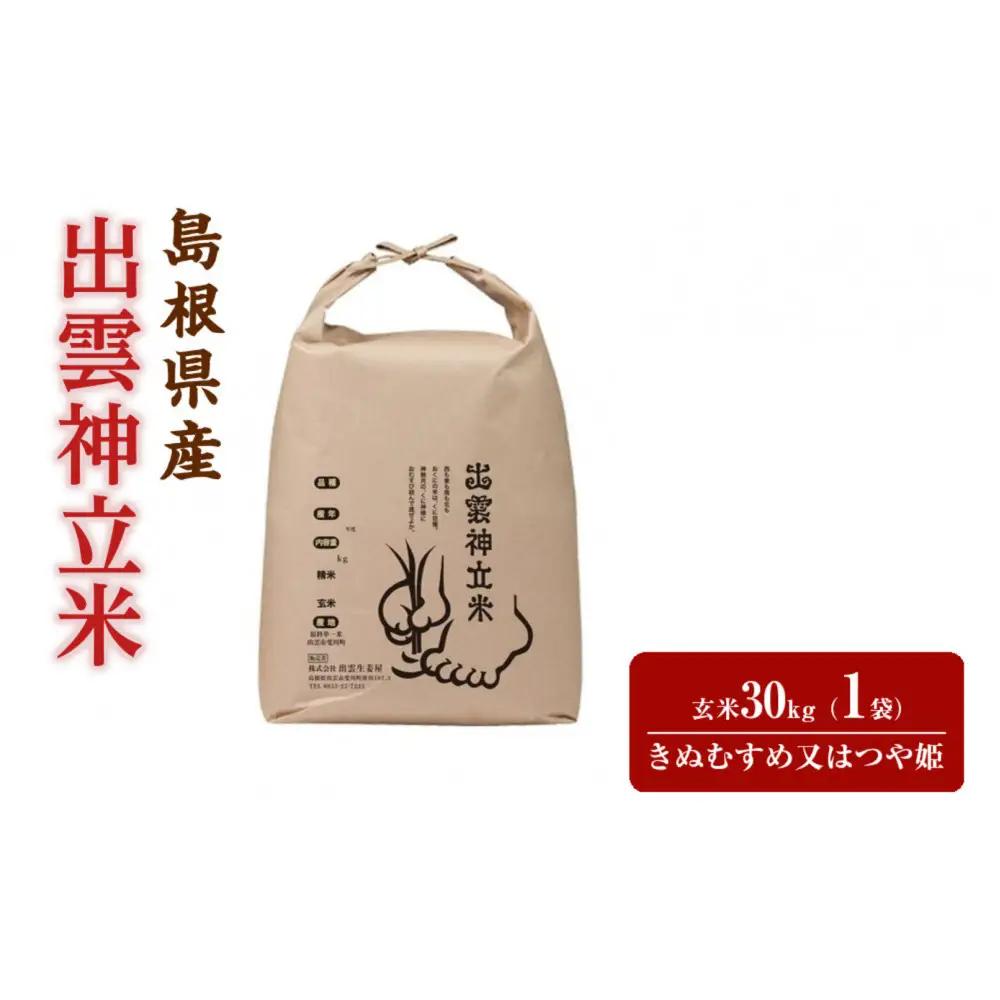 【2026年9月中旬以降発送】出雲神立米（つや姫 または きぬむすめ） 玄米30kg　【品種選択不可】
