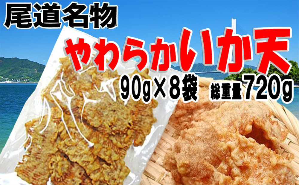 
【8袋】尾道やわらかいか天＜訳あり不揃い＞
