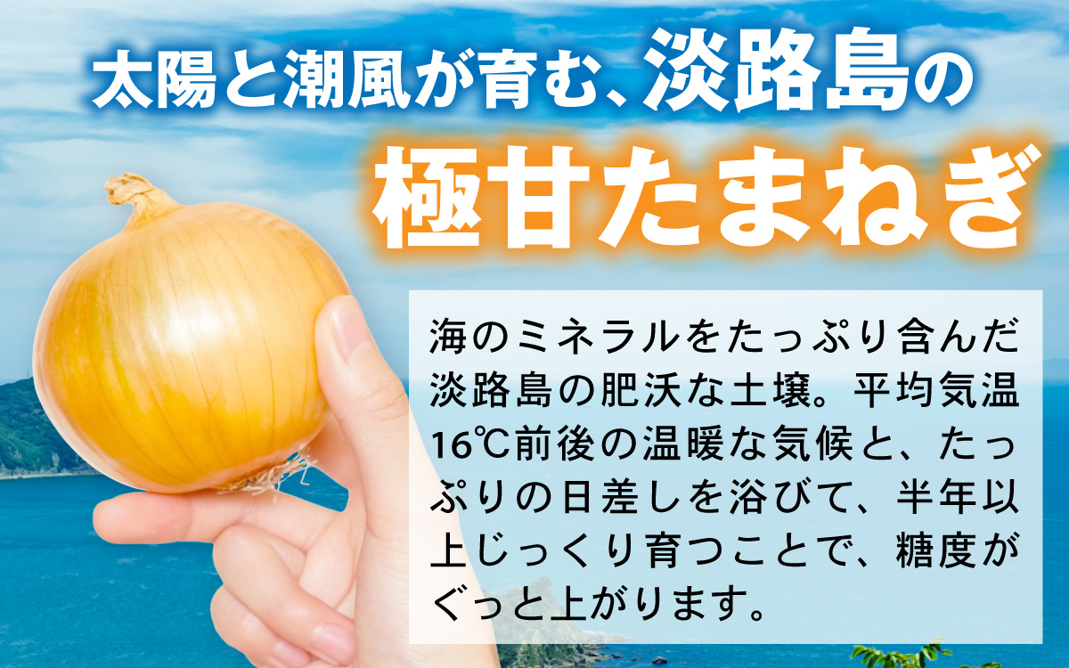【先行予約】 淡路島 貯蔵玉ねぎ 6kg 訳あり サイズ不揃い 簡易箱でお届け ／ 不揃い サイズ 混合 ミックス S M L 2L 玉ねぎ タマネギ オニオン スライス サラダ ハンバーグ 肉じゃが