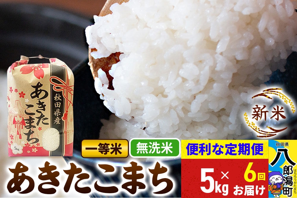 
                  《新米》《定期便6ヶ月》あきたこまち 一等米 5kg【無洗米】 令和8年産 秋田県産 こまちライン [新米 こまちライン あきたこまち ブランド米 お米 白米 精米 米どころ 秋田 秋田県産]
                