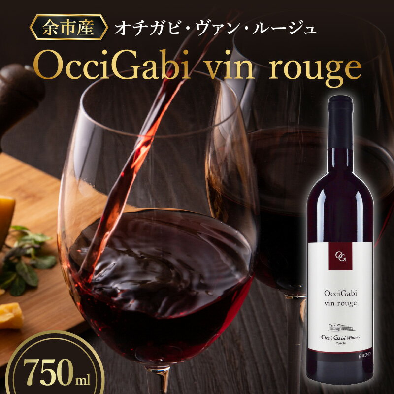 【ふるさと納税】オチガビ ヴァン ルージュ 赤ワイン 辛口 複雑味 ワイン お酒 酒 アルコール ギフト 贈り物 プレゼント 誕生日 記念日 お祝い 内祝い 手土産 母の日 父の日 敬老の日 家飲み 家族 国産 混合 葡萄 ぶどう ブドウ おいしい お取り寄せ 北海道 余市町 送料無料