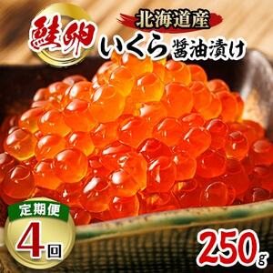 【毎月定期便】いくら醤油漬け250g×1個＜北海道産の鮭卵＞全4回【配送不可地域：離島】【4010630】