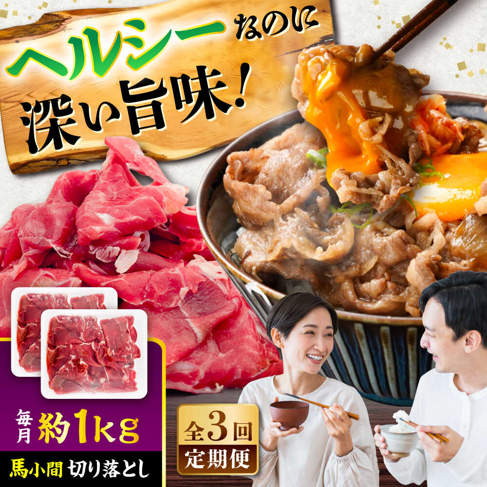 【ふるさと納税】【全3回定期便】馬小間切り落とし 約1kg (約500g × 2パック) / 馬肉 こま切れ きりおとし 切落とし 馬小間 熊本 馬肉 切り落とし ヘルシー【五右衛門フーズ】[BHCY038]