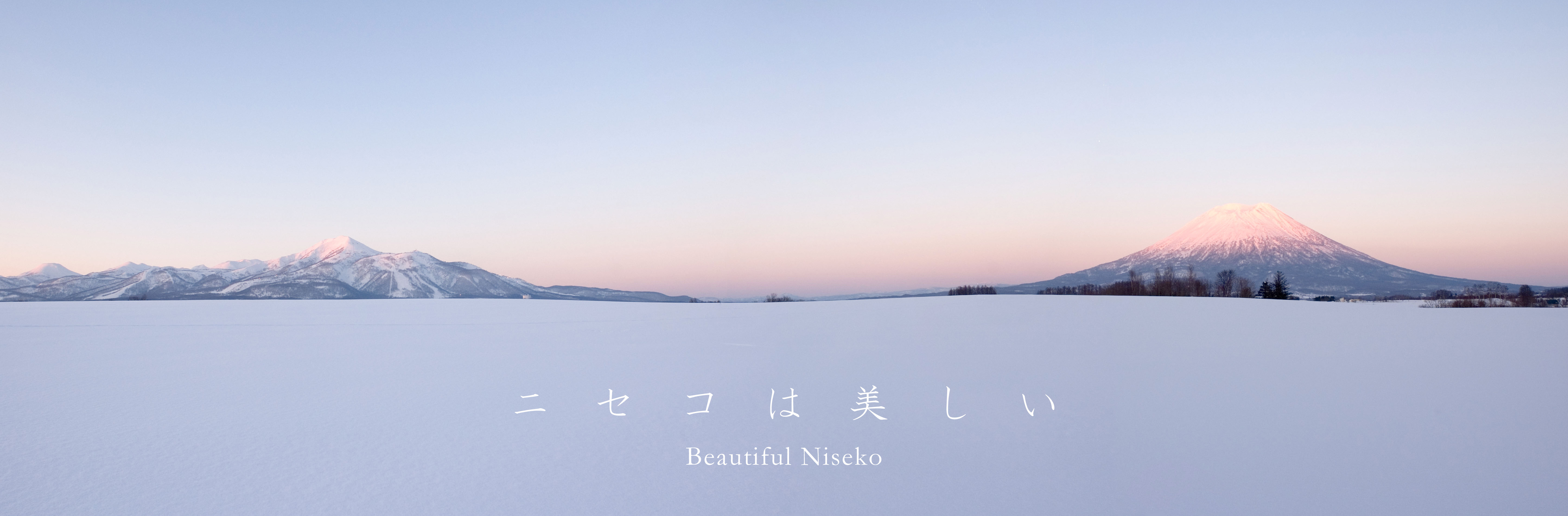 北海道ニセコ町ANAトラベルダイナミックパッケージ割引クーポン22,500点分