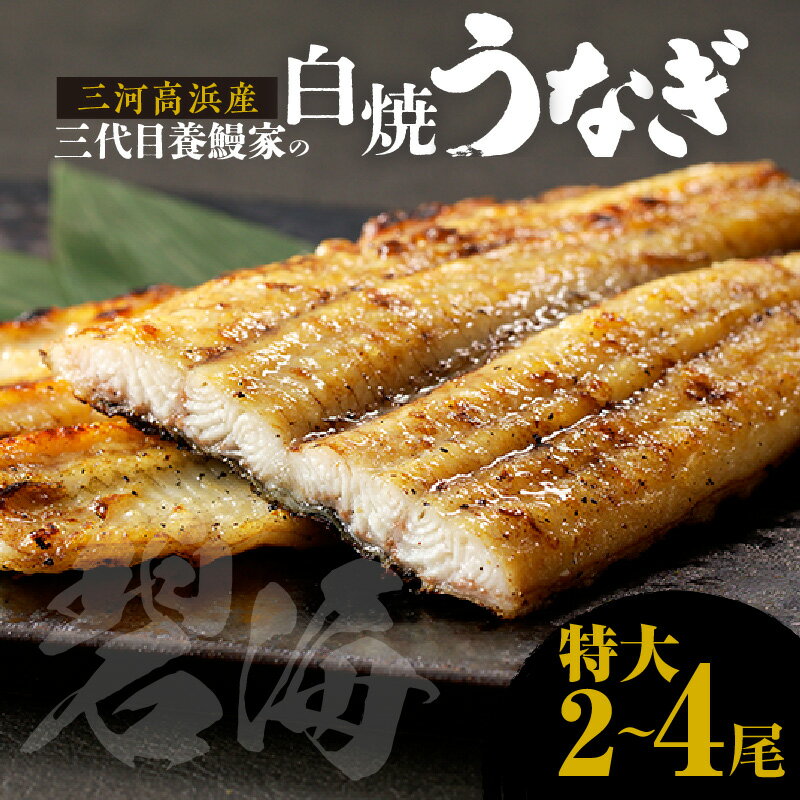 【ふるさと納税】＼レビューキャンペーン対象／三河高浜産三代目 養鰻家 の白焼きうなぎ【 特大 】【選べる尾数】 タレ付 マツコの知らない世界 秋 旬 愛知県産 白焼き 特大うなぎ 国産 タレ うなぎ グルメ 養殖 肉厚 お祝い 丑の日 鰻 国産鰻 食べ物 高級 魚介類 送料無料