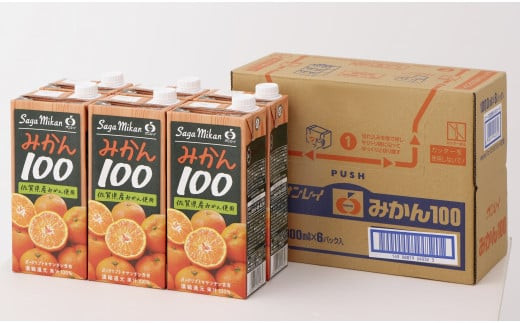 
            みかん100
          