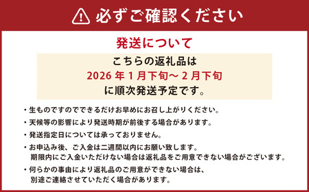 熊本県産デコポンと熊本市産青島みかんセット【2026年1月下旬～2月下旬発送予定】 デコポン みかん 蜜柑 果物 フルーツ セット 熊本市産