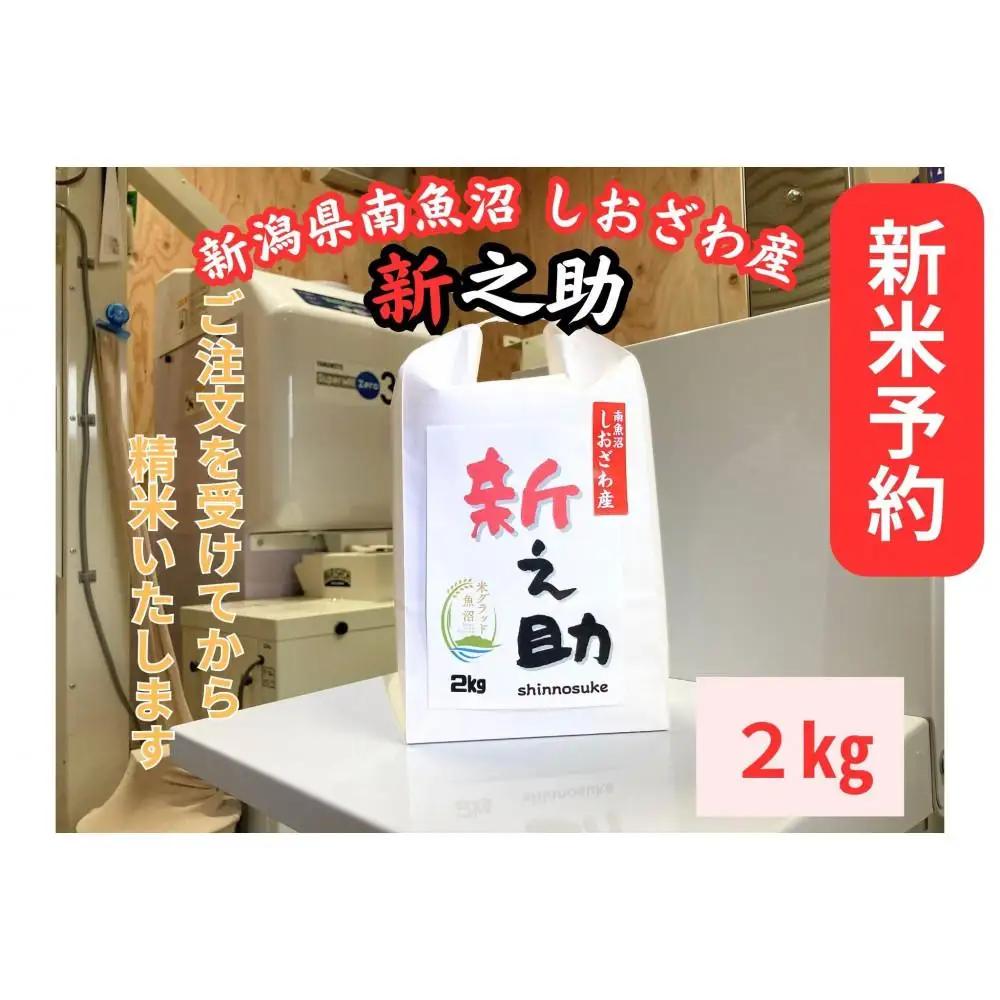 【令和8年産・新米予約】新潟県南魚沼産　新之助　2kg　大粒でツヤがあるこれまでにないお米【銘柄米 ブランド米 精米 新之助 魚沼産 新潟米 産地直送 お米 米 こめ コメ】【2026年10月中旬より1ヶ月以内に順次発送予定】