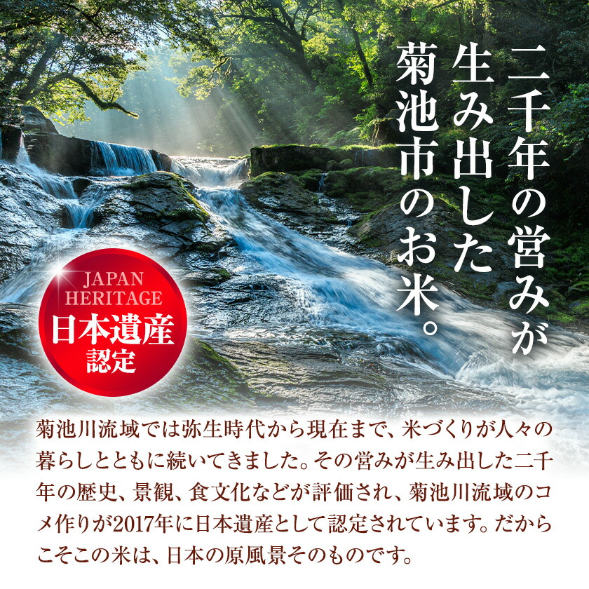 令和7年産 きくち棚田無洗米 10kg ひのひかり《30日以内に出荷予定(土日祝除く)》熊本県 菊池市 米 こめ ヒノヒカリ お米 ブランド米 単一原料米 菊池