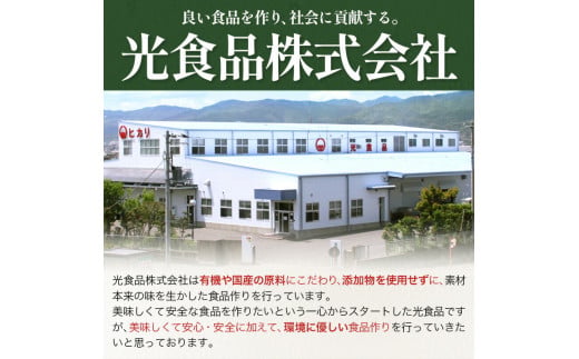 【12ヶ月定期便】 ジンジャーエール 250ml×30缶 光食品株式会社 定期 計12回お届け 《お申込み月の翌月から出荷開始》 徳島県 上板町 ジュース 炭酸水 光食品 ジンジャーエール オーガニッ