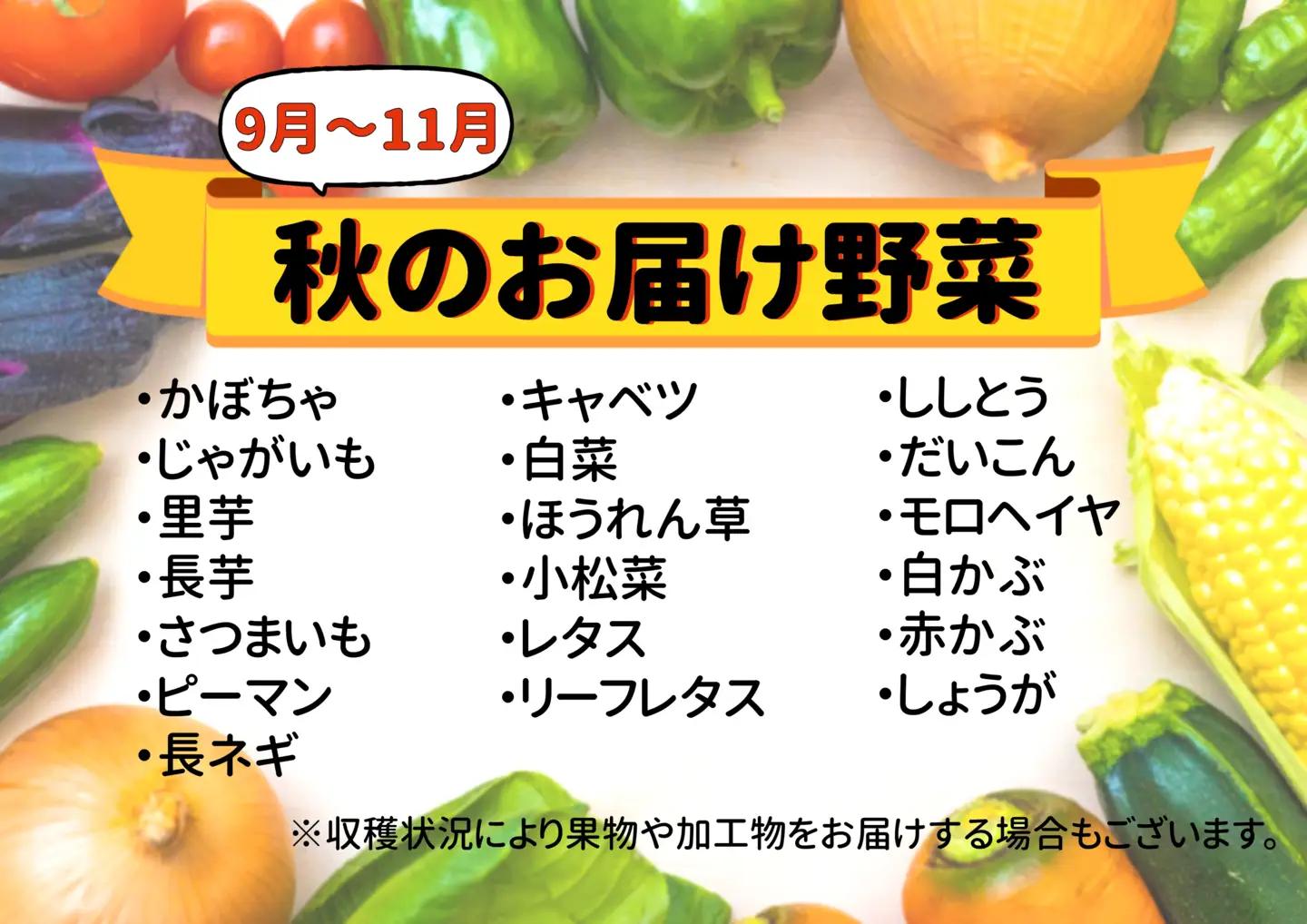 七宗町から発送　新鮮野菜詰めあわせセット(季節の野菜7～8種類) 七宗町ふるさと開発